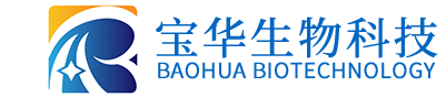 时博网页版